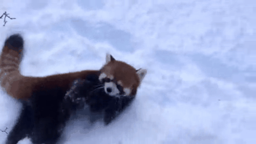 Get Https Encrypted Tbn0 Gstatic Com Images Q Tbn 3aand9gcrutpbhmjedwergorndwejrbhs6fvycya29gw Usqp Cau For Free Wallpaper Https Encrypted Tbn0 Gstatic Com Images Q Tbn 3aand9gcrutpbhmjedwergorndwejrbhs6fvycya29gw Usqp Cau For Android